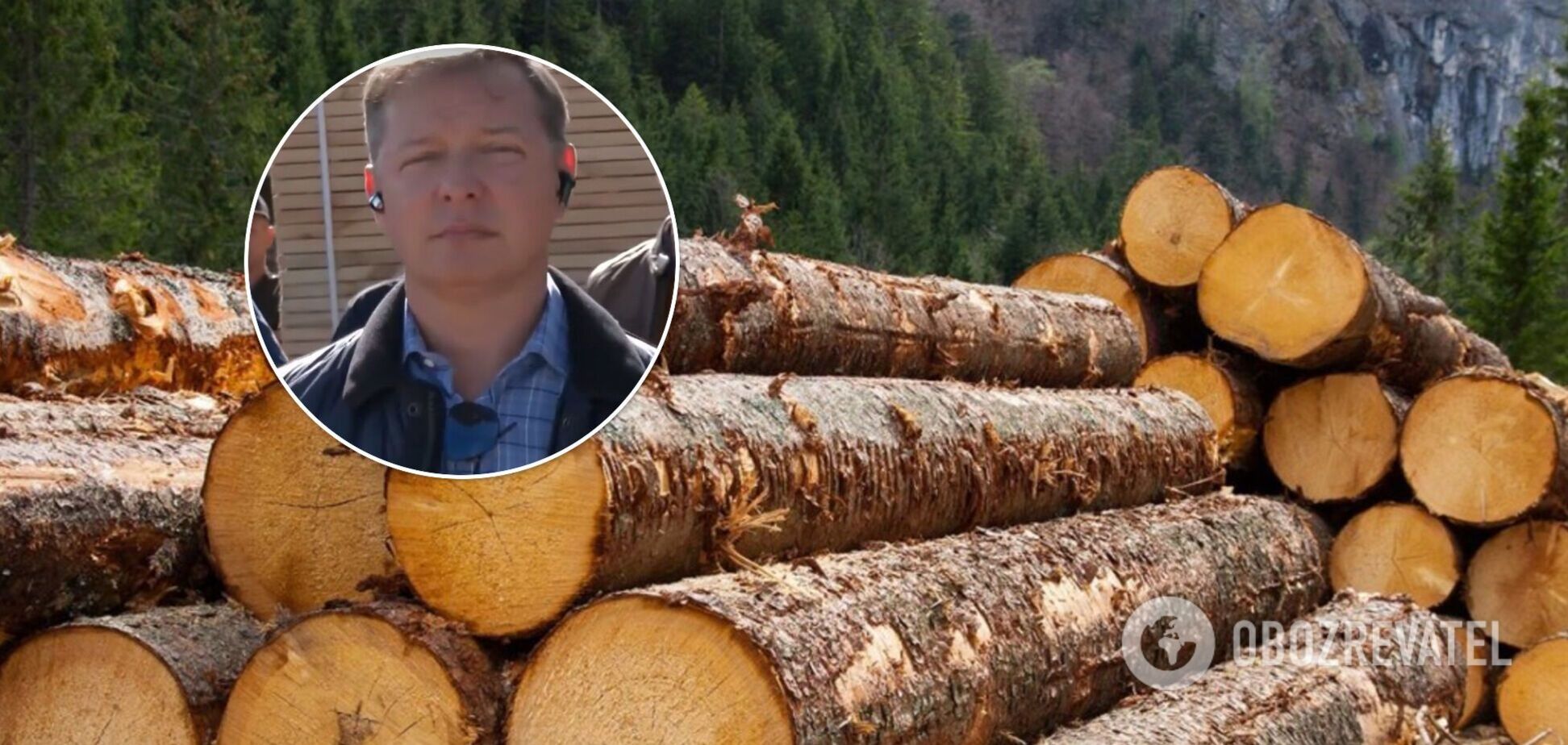 Ляшко закликав не вбивати українську деревообробку